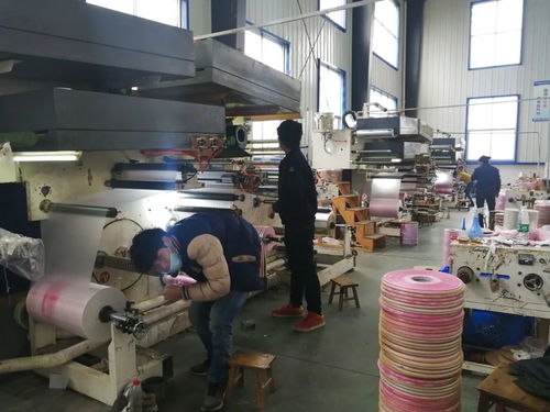 隆回高新技术产业开发区 叩响工业富县发展之门